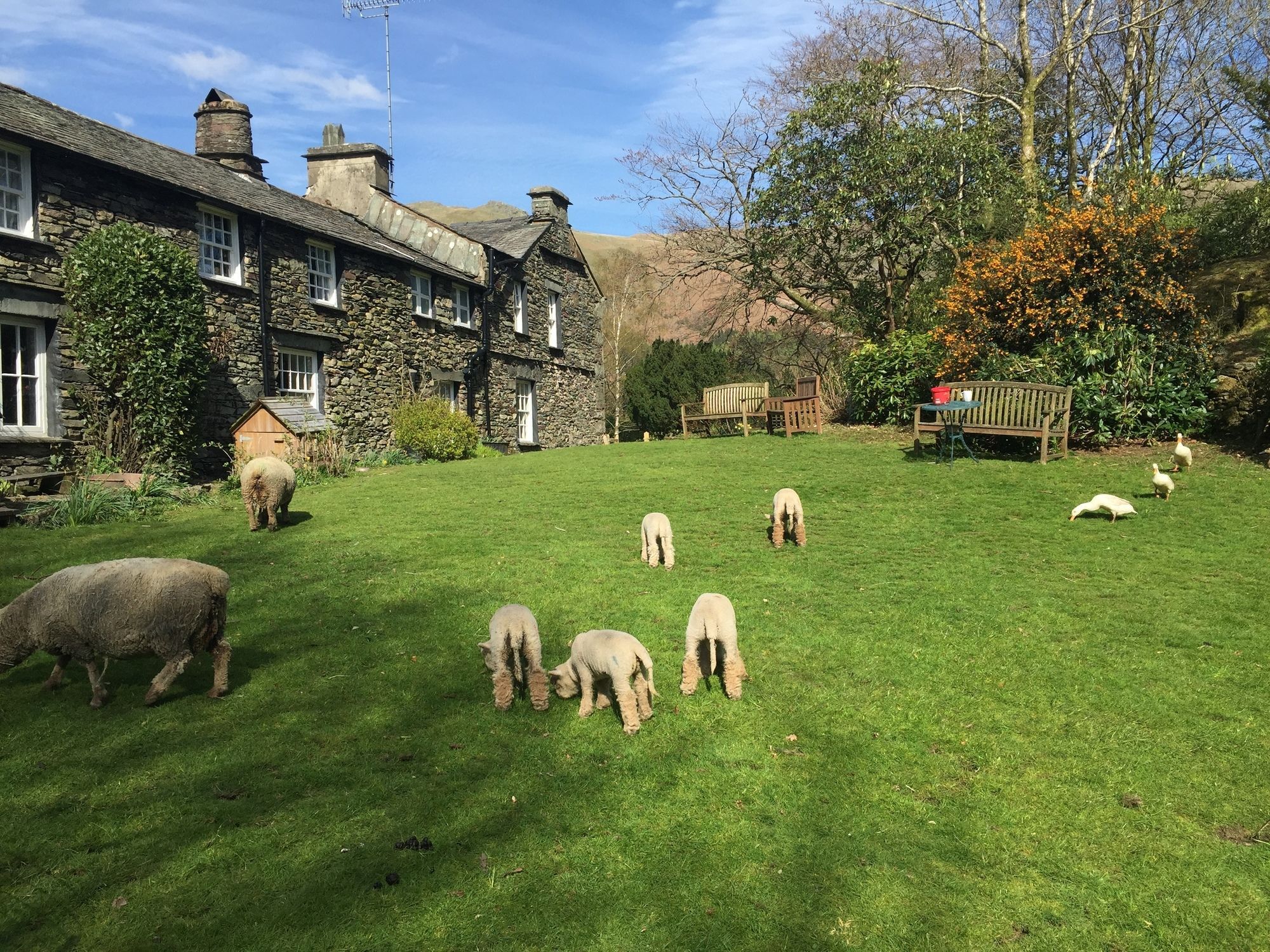 Thorney How Ambleside Dış mekan fotoğraf